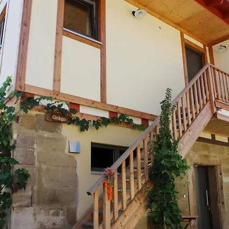 'ginkgo' Mit Verwunschenem Garten & Privater Sauna Appartement